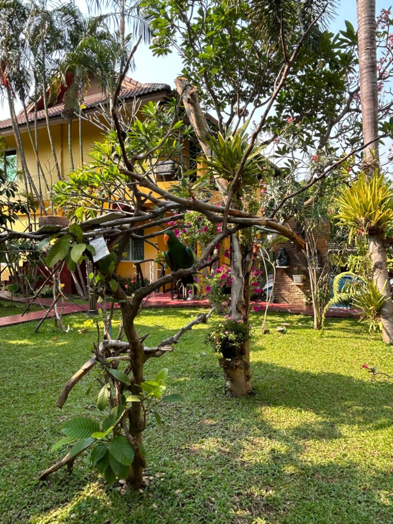 Lamduan Boutique Homestay Chiang Mai Exterior foto